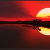 pure.heart3957