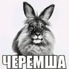 user948173094680