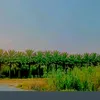 user8871623619822