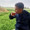mahmodyehia7