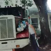 noelnegrin