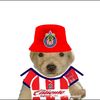 chiva.hermano1313