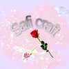 safi_craft1