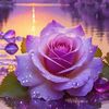 user9848194506183