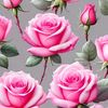 zain.khan3684