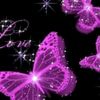 .prettylik_butterfly