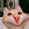 memej847