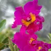 Thắp Lửa Tri Thức