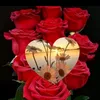 muzmail.7868