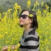 hoangkim6861