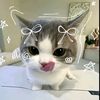 ayull_03