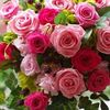 ninayusof6