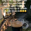 user7009944427800