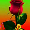 shage.arsii3
