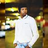 dolphinshangase