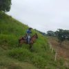 ferney.uparela