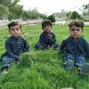muhammadzaib76