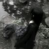 amal_00904