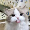 itz_yawyawsigma