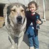 user410668106765