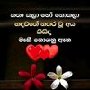 user6273188679101