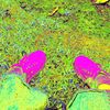 live_69000