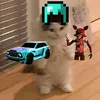 averageitalianplayer