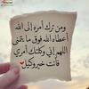 om.ziad87