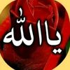 abou.houssein0