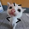 juliedzjtip