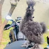 zika_chicken