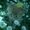 pretty.andr3e70