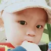 alifwibowo47