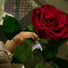 m._.m._898