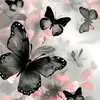 flor.2074