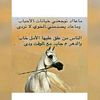 user8813921533681