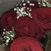 marwosharaf_