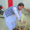 mehmoodkhan1017
