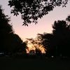 kaiden_632
