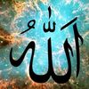 raisulislamrafi602