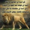user450851619856