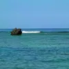 zinoy1