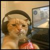 slimshady4229