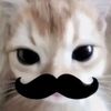 yushu_90