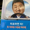 팽감자🥔