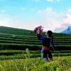 chinhnguyen1040