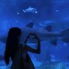 anomali_biru1