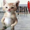 taothembunbovcl