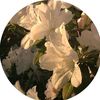 sall7788