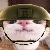 jellytaborvr